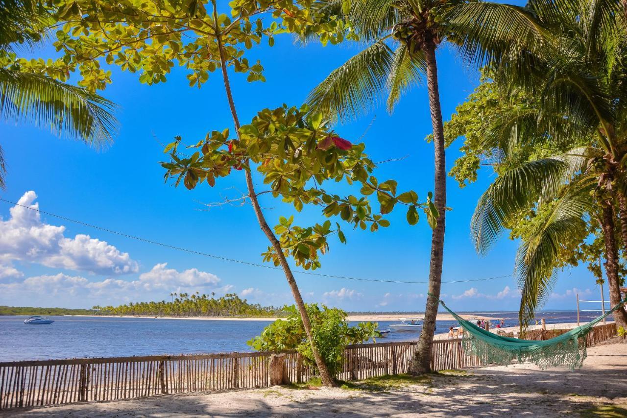 Pousada Vila Palma Boipeba Velha Boipeba Exteriér fotografie