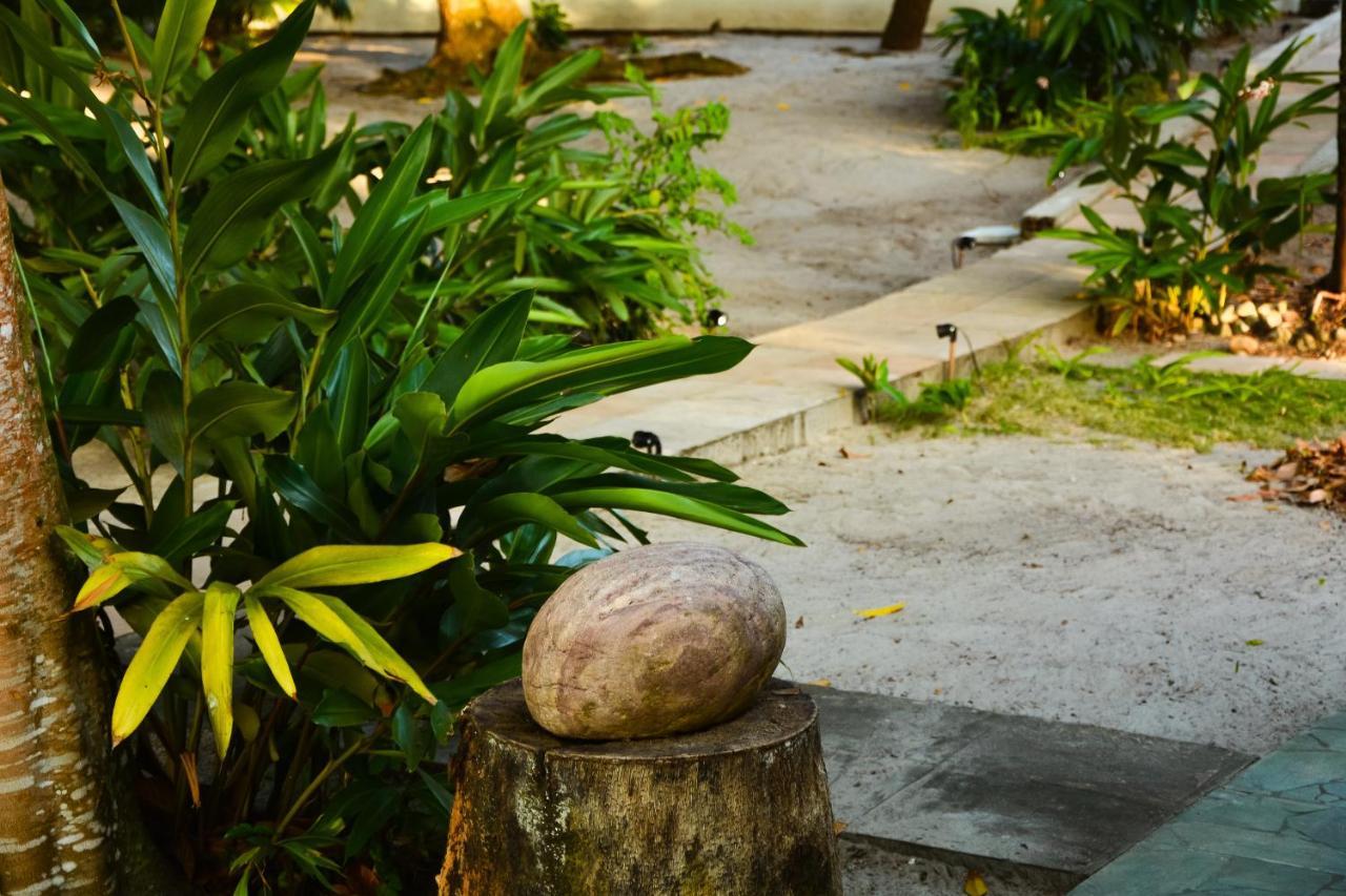 Pousada Vila Palma Boipeba Velha Boipeba Exteriér fotografie